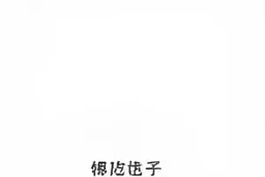 《长线》核验专题封面